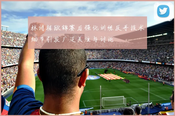 林诗栋欧锦赛后强化训练反手技术细节引发广泛关注与讨论